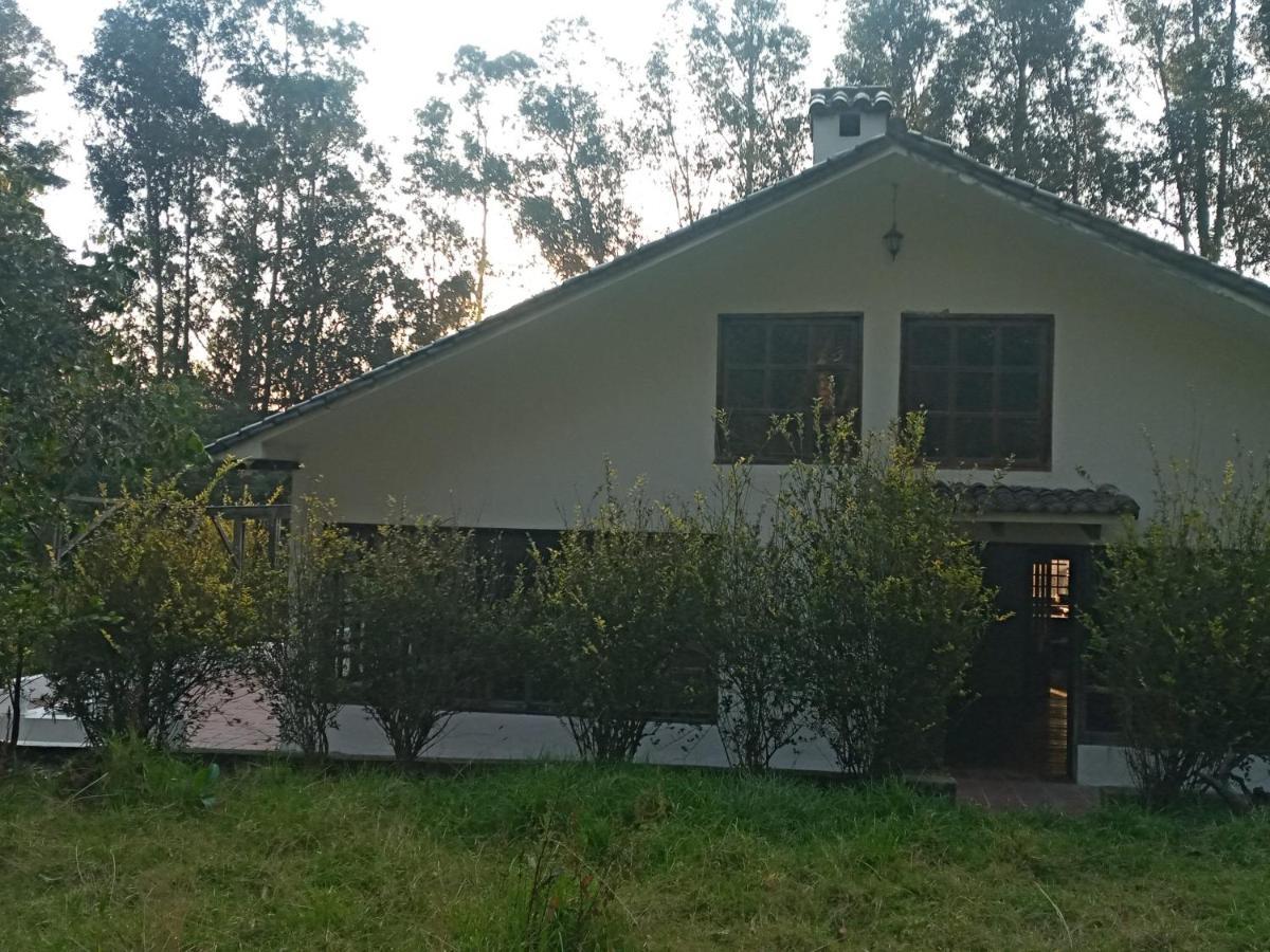 Quinta Los Eucaliptos Hotel Quito Eksteriør billede