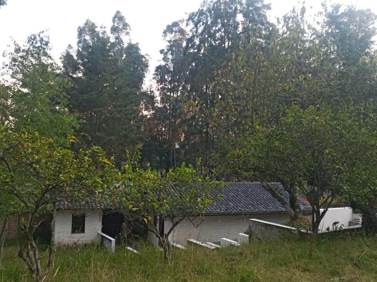 Quinta Los Eucaliptos Hotel Quito Eksteriør billede